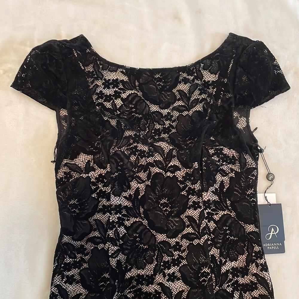 Adrianna Papell Black Lace Velvet Dress